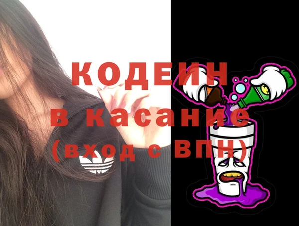 хмурый Михайловск