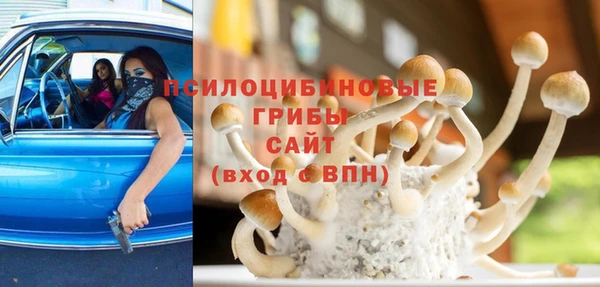 хмурый Михайловск