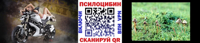 Галлюциногенные грибы мицелий  Аксай 