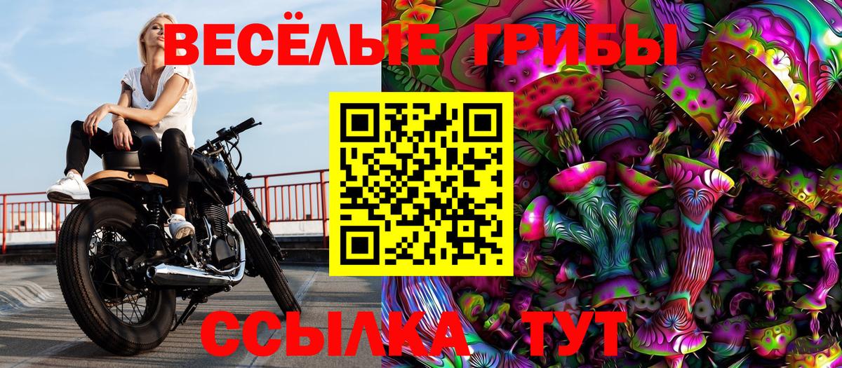 Галлюциногенные грибы мицелий  Вход с VPN  Аксай 