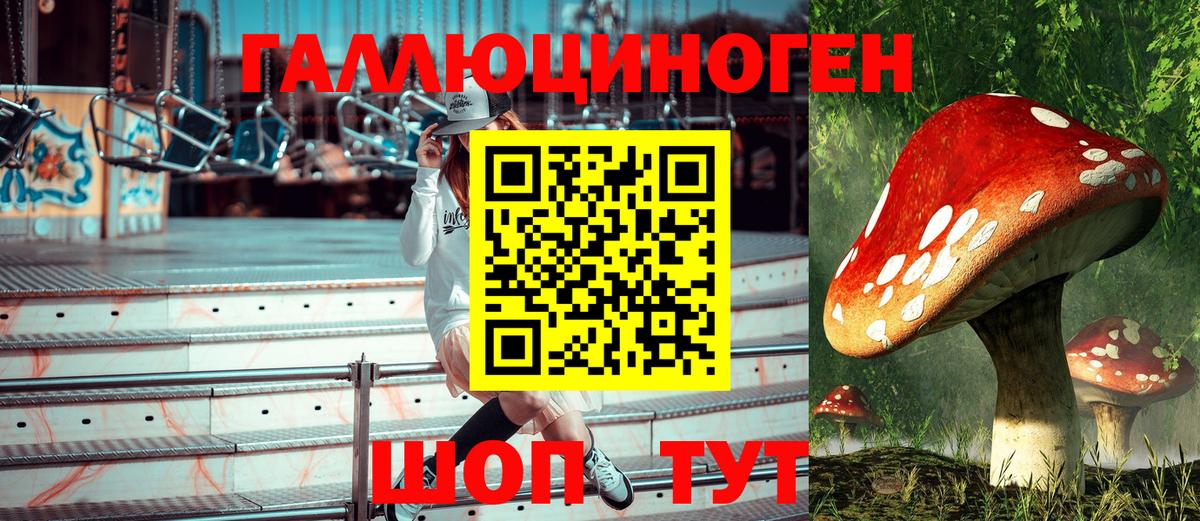 Галлюциногенные грибы Psilocybe Аксай